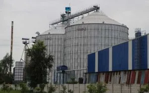 FLAT-BOTTOM-SILOS-300x188