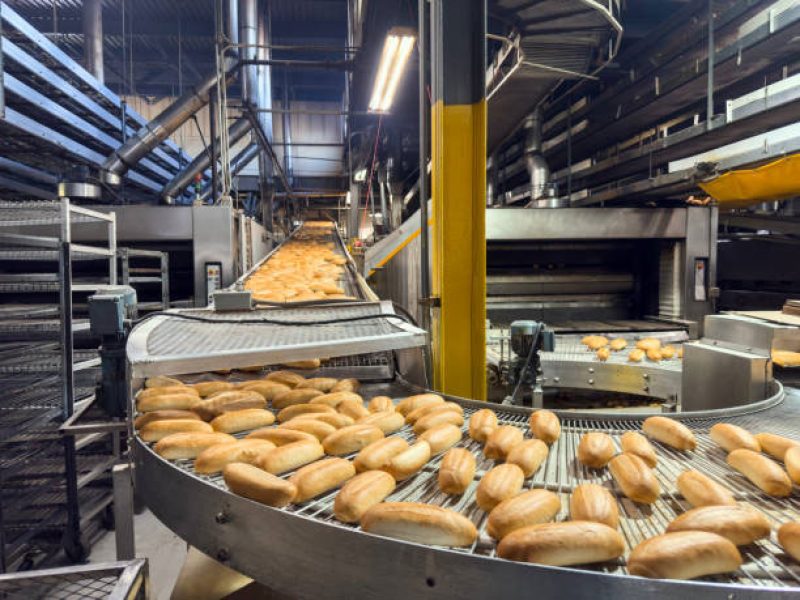 PEB Construction Method to build Food Processing Units